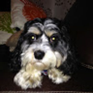 Meet your Posher, Sloane